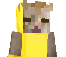 brodiest's skin