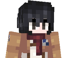 Mikasa_DLL's skin