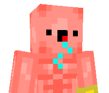 WcEnteHatHunger's skin