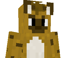 VaynXD's skin