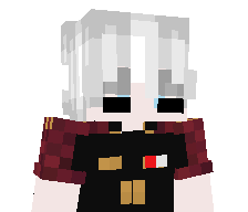 vwnsx's skin