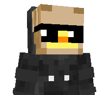 pin_sr's skin