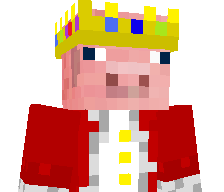 Nikhilisreal's skin