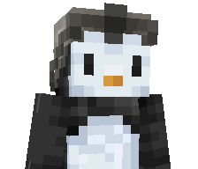 Nikzss's skin