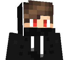 xParkzz's skin