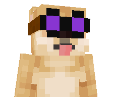 MineDoge12's skin