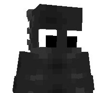 X_ASTRO11's skin
