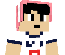 HiSkycek's skin