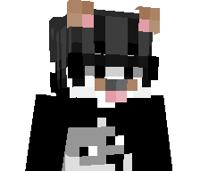 FAITHSOC's skin