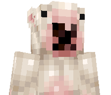 Pajalnik's skin