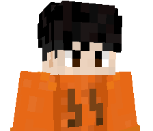 YHZRANDER's skin