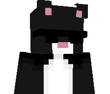 Flostar312's skin