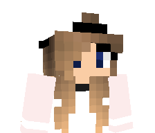 pixleraft's skin