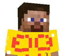 bidding_'s skin