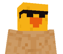 DuckKing917's skin