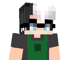 Baristaa's skin