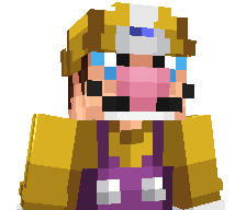 WarioNumber1's skin