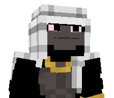 vort3xgame's skin