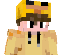Sflipper21's skin