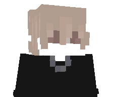 We4sty's skin