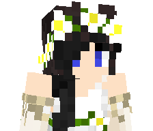 eliigiirrl's skin