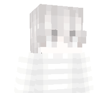 Shadowcrafth's skin