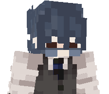 CSxFr0st's skin