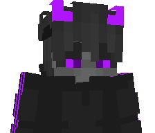 WinterZ_MC's skin