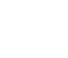 assumeninja's skin