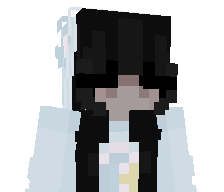 N1deMC's skin