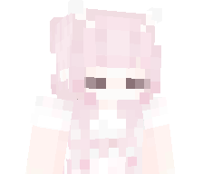 wrnt's skin