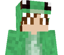 234z's skin