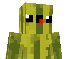 Twsdmelon's skin