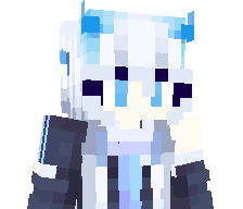 SpaceXs_'s skin