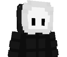 _255l's skin