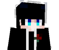 13sepehr19's skin