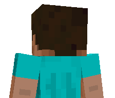 fortune1234's skin