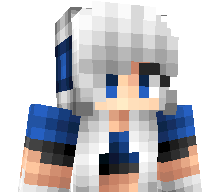 NooblockYT's skin