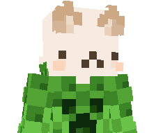 Burkkid's skin