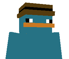 LostNoSkin321's skin