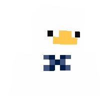 _ItsJustDuck's skin