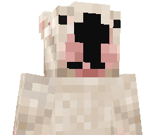 smhdwagon's skin