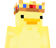 The_Duck_King33's skin