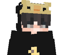 WhyVortex's skin