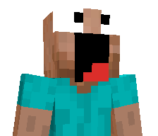 Radubeleaua23's skin