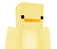DodoZVN's skin
