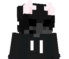 _Rewin's skin