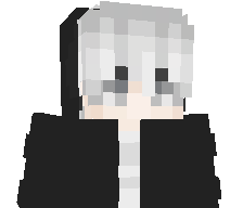 Pasblox2026's skin