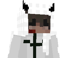 toocxldd's skin