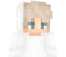NotedMC's skin